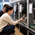 Persona eligiendo un gato para adoptar en refugio de animales